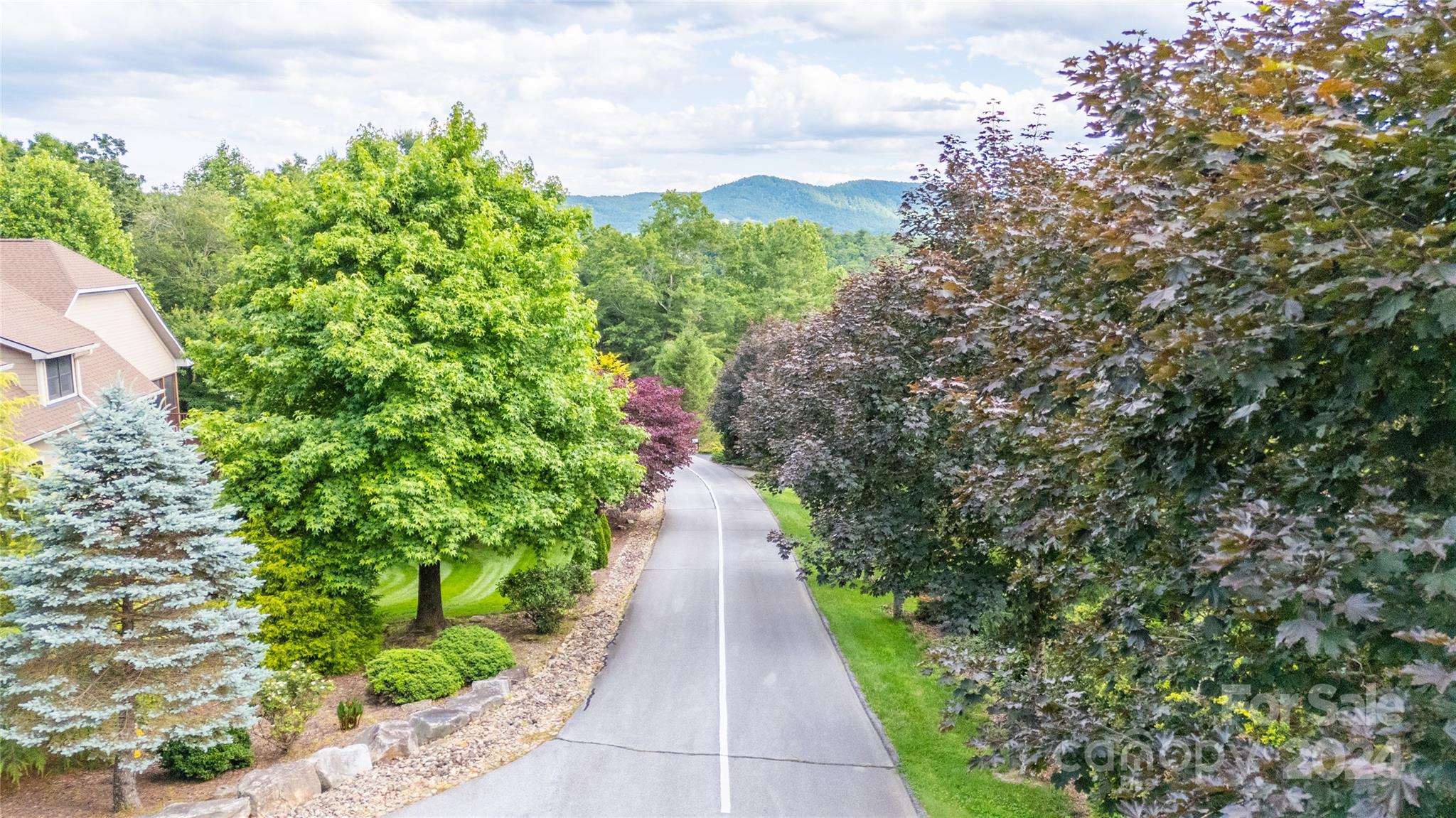 0 South Ridge Drive, Unit 61/62 Hendersonville, NC 28739 - Photo 4 of 17 a view of a pathway covered with tall trees