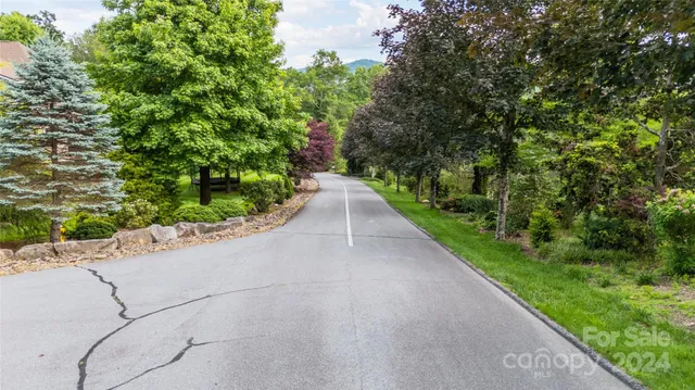 a view of a garden with pathway