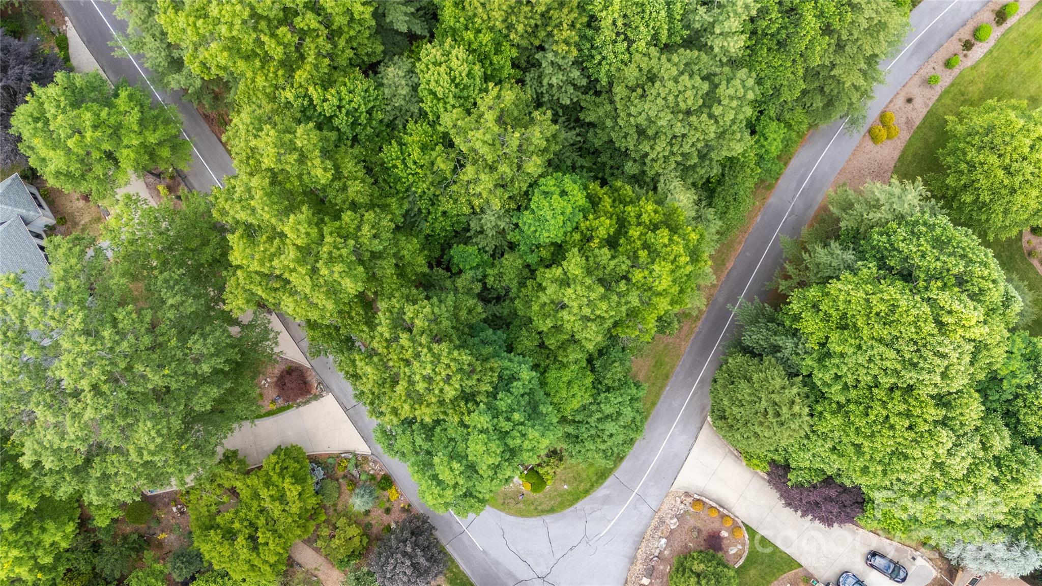 0 South Ridge Drive, Unit 61/62 Hendersonville, NC 28739 - Photo 7 of 17 a view of a garden