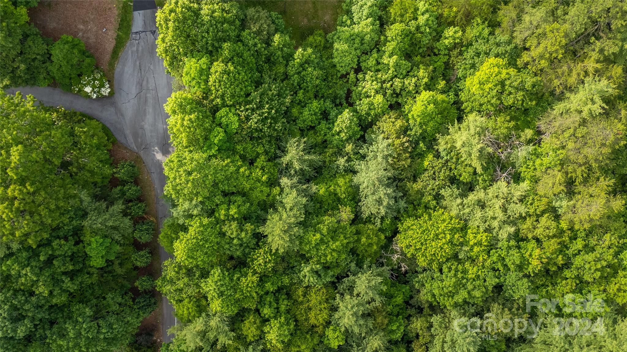 0 South Ridge Drive, Unit 61/62 Hendersonville, NC 28739 - Photo 10 of 17 an aerial view of residential house with outdoor space and trees all around