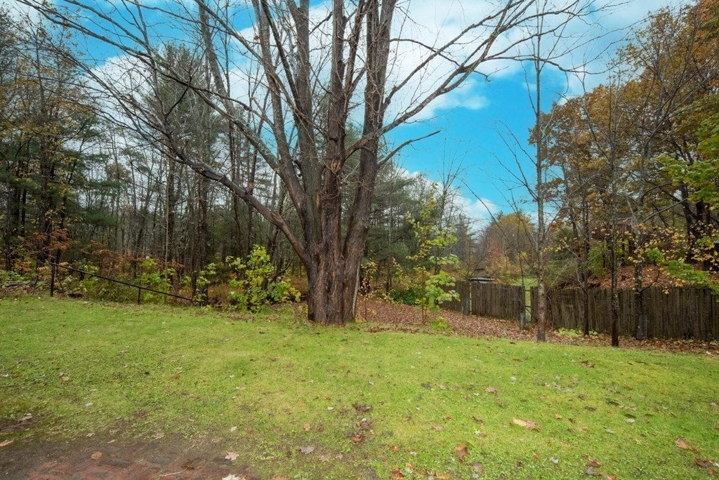 263 State Road Templeton, MA 01436 - Photo 27 of 31 a view of backyard with tree