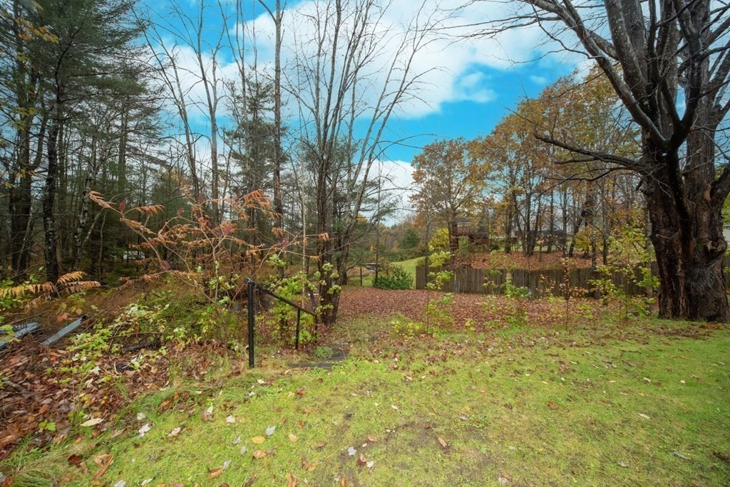 263 State Road Templeton, MA 01436 - Photo 29 of 31 a view of backyard with tree