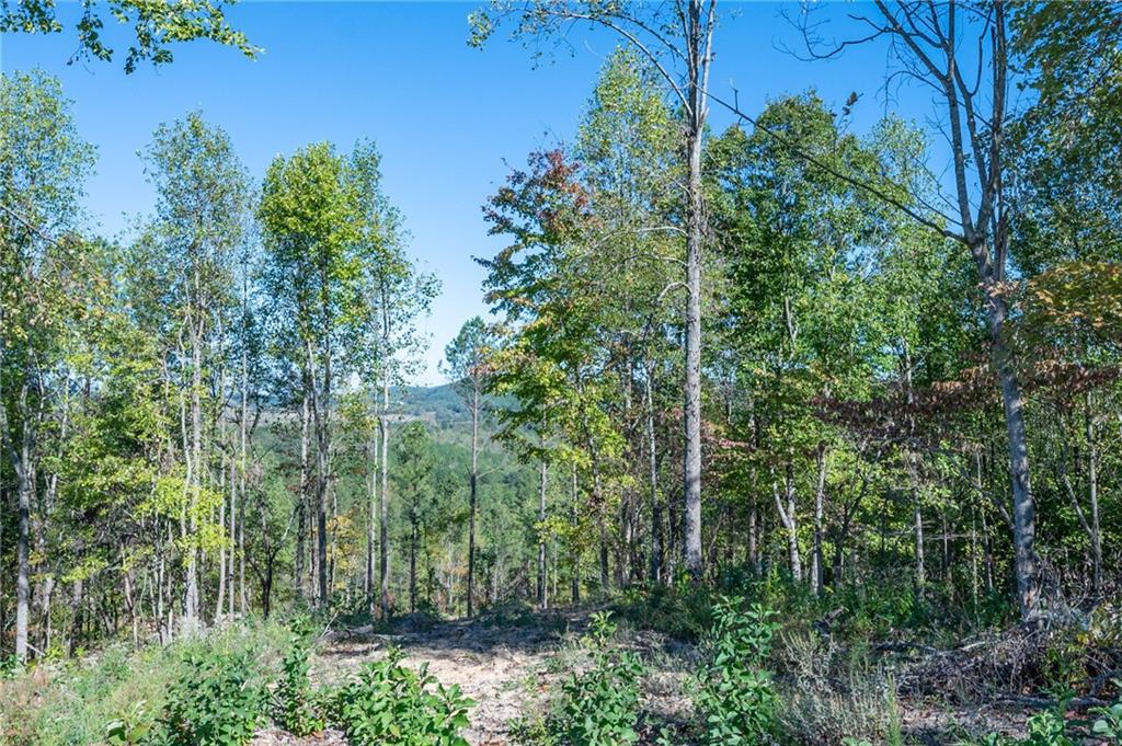 3879 Hwy 140 Ne Rydal Ga 30171 Northeast Rydal, GA 30171 - Photo 4 of 10