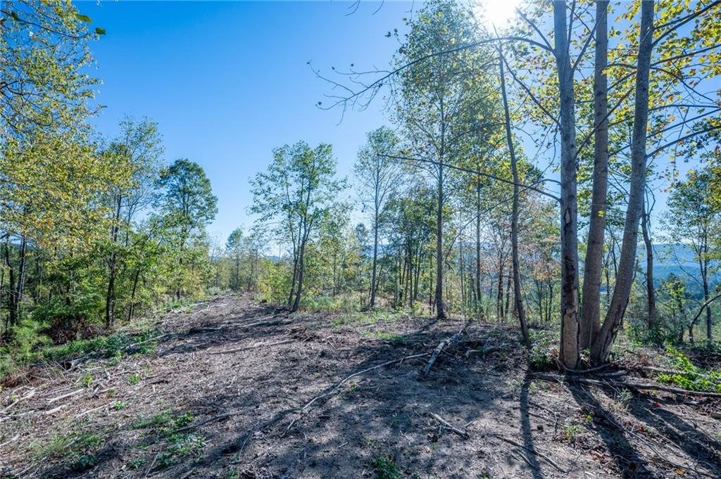 3879 Hwy 140 Ne Rydal Ga 30171 Northeast Rydal, GA 30171 - Photo 5 of 10