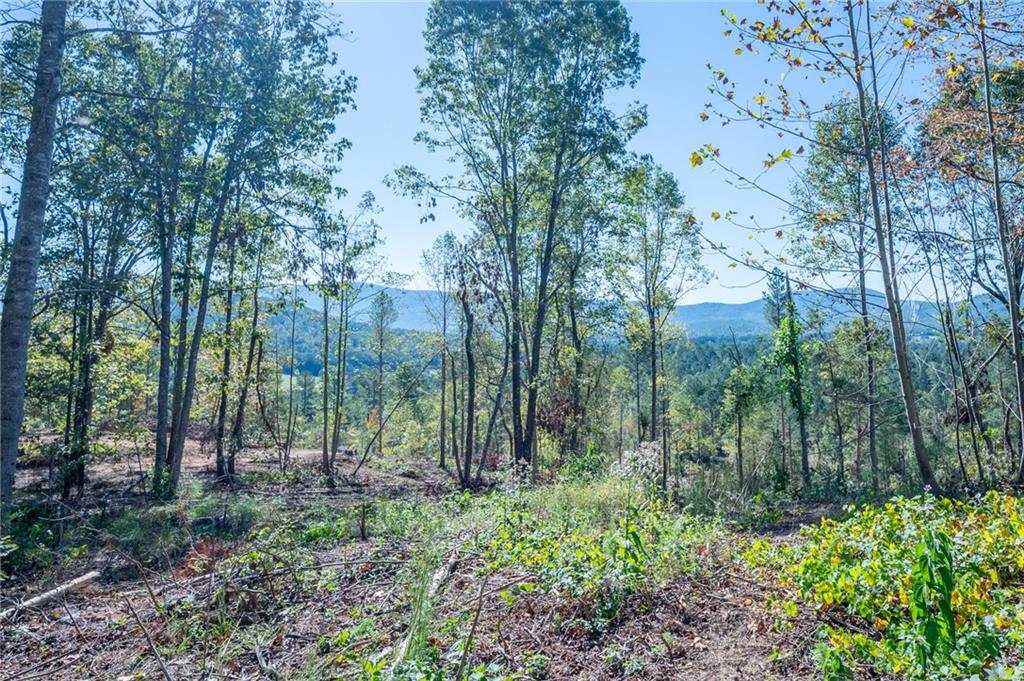 3879 Hwy 140 Ne Rydal Ga 30171 Northeast Rydal, GA 30171 - Photo 6 of 10