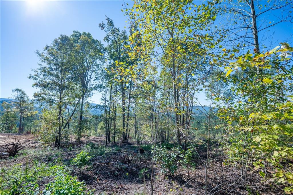 3879 Hwy 140 Ne Rydal Ga 30171 Northeast Rydal, GA 30171 - Photo 7 of 10