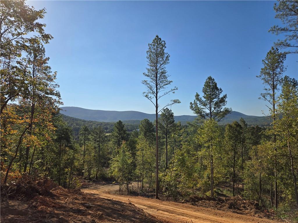 3879 Hwy 140 Ne Rydal Ga 30171 Northeast Rydal, GA 30171 - Photo 10 of 10