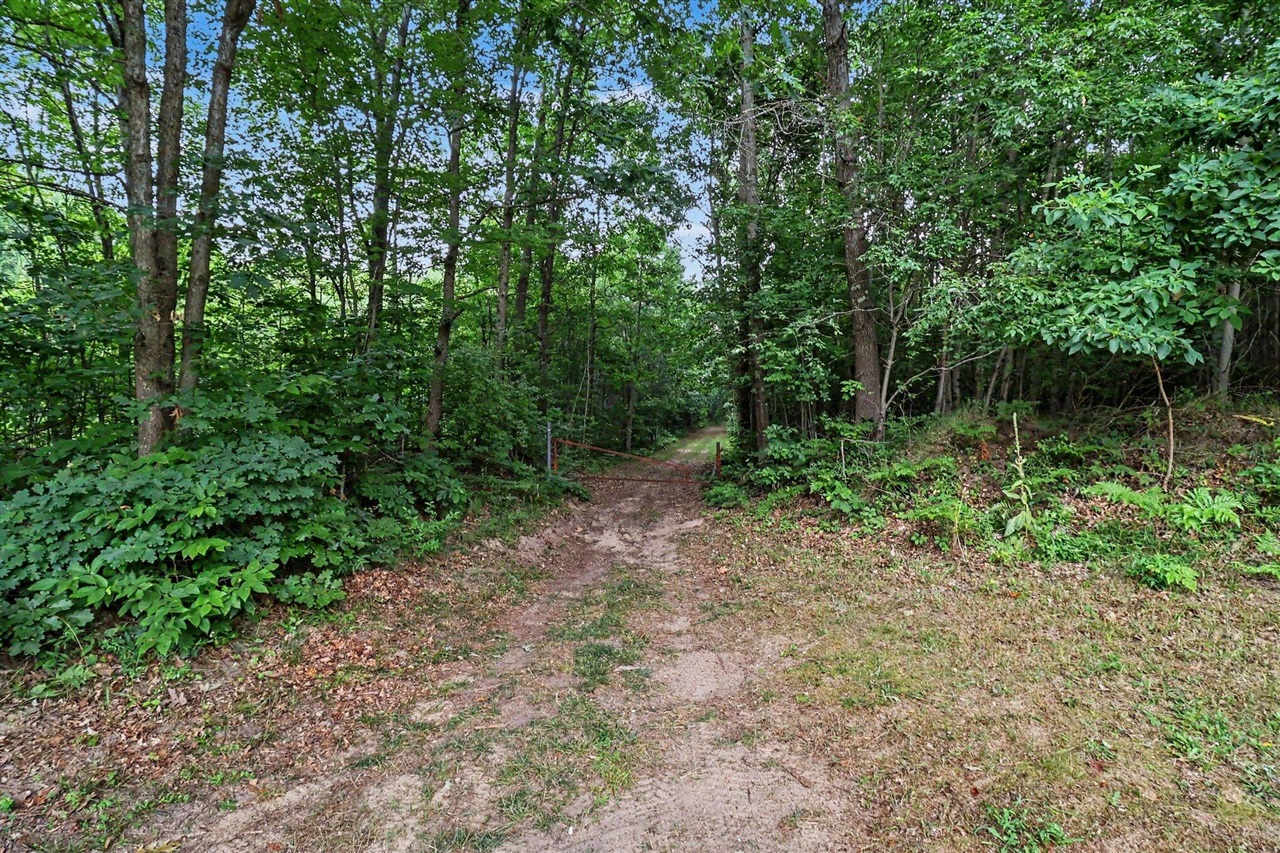 V/l North Larson Road Custer, MI 49405 - Photo 7 of 16 Gallery Image 7