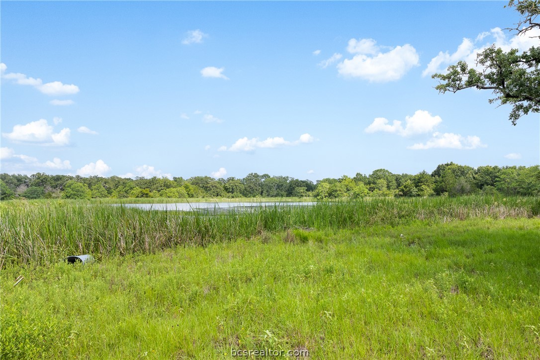 11504 North Dowling Road College Station, TX 77845 - Photo 7 of 22