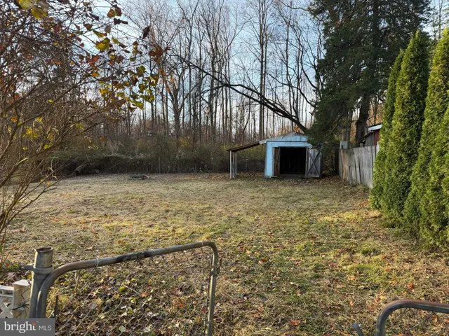 a view of a yard with large trees