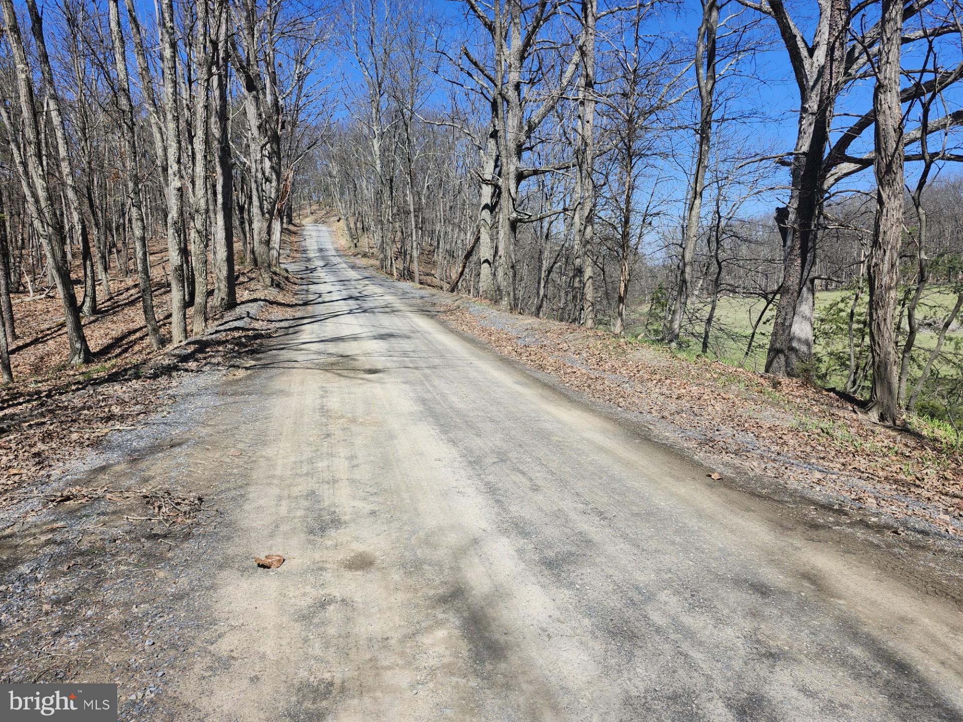 A J Kelley Road Old Fields, WV 26845 - Photo 25 of 65