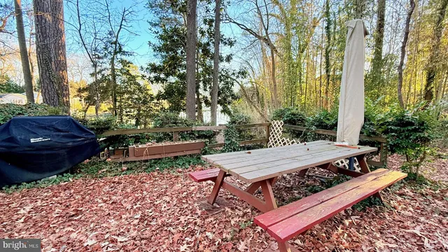a view of a yard with plants and trees
