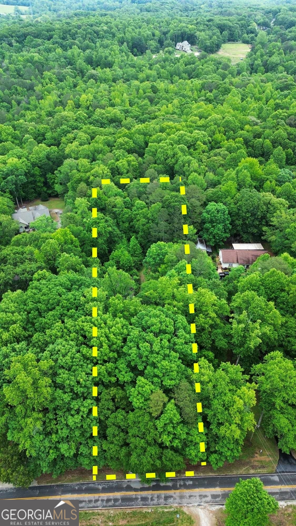 925 Boss Hardy Road Winder, GA 30680 - Photo 1 of 1 a view of a lush green forest
