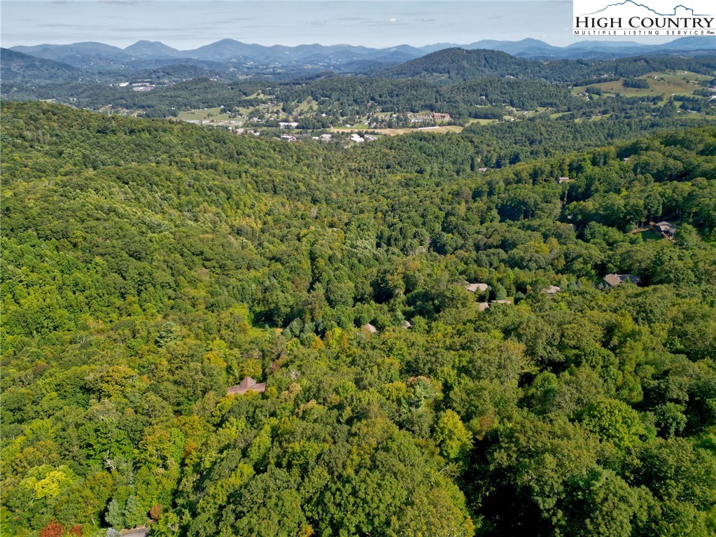 a view of a lush green forest with trees in the background
