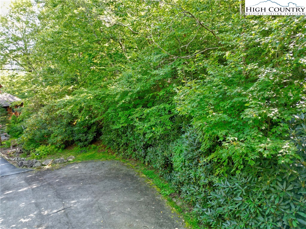 Highland Lakes Road Blowing Rock, NC 28605 - Photo 11 of 14 a view of a yard with a tree