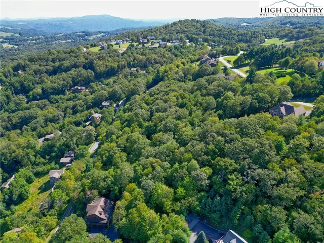 a view of a lush green forest with houses