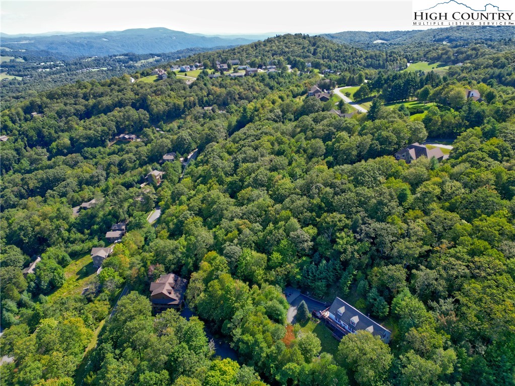 Highland Lakes Road Blowing Rock, NC 28605 - Photo 13 of 14 a view of a lush green forest with a house