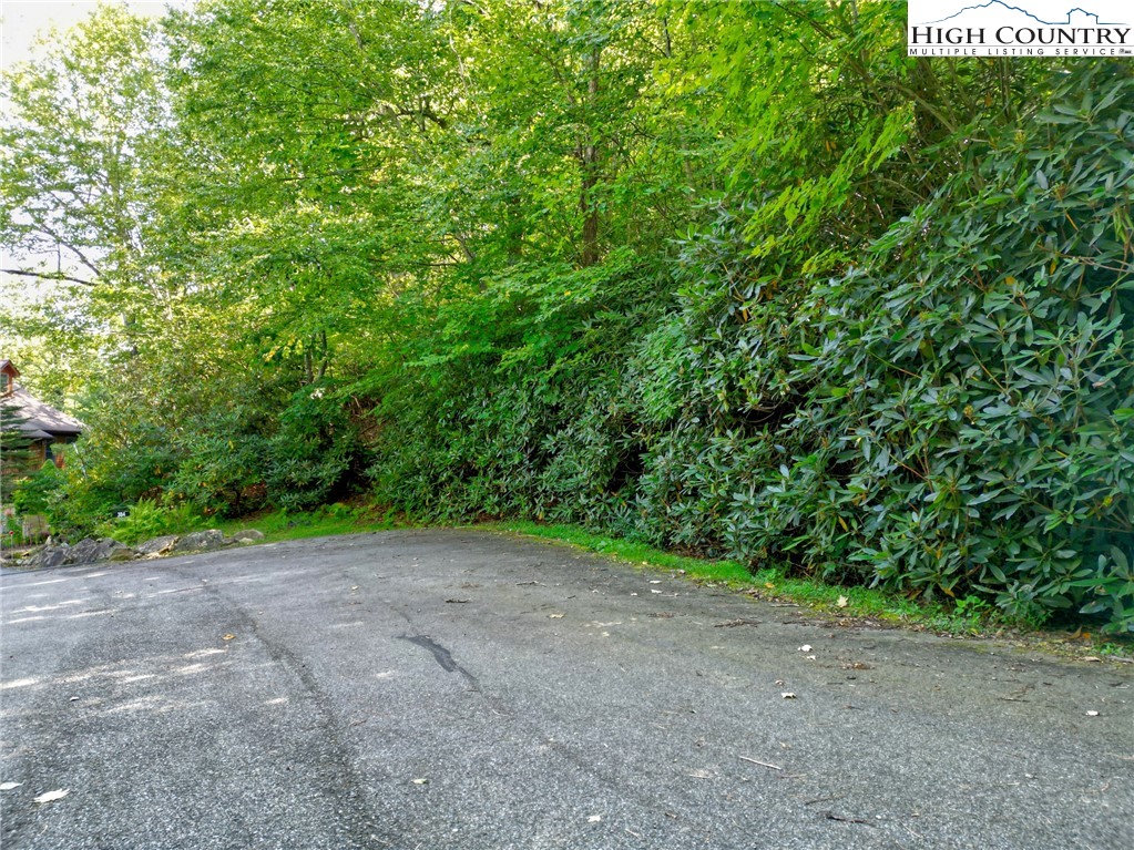 Highland Lakes Road Blowing Rock, NC 28605 - Photo 2 of 14 a view of a yard with a tree