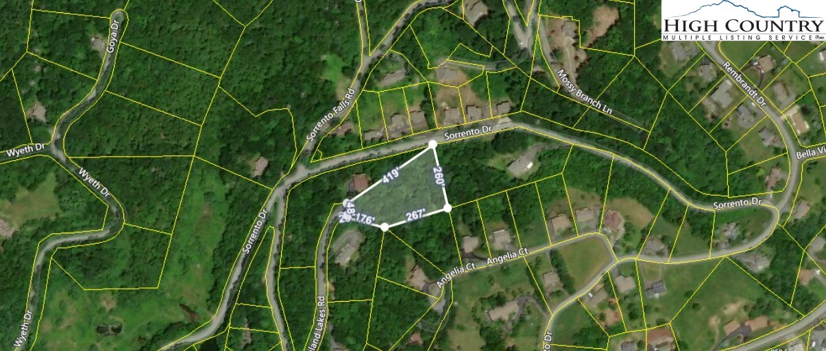 Highland Lakes Road Blowing Rock, NC 28605 - Photo 4 of 14 a view of a plant