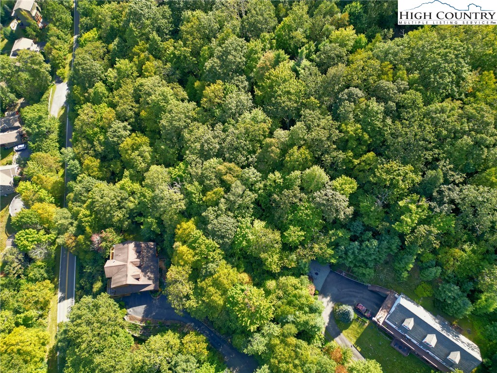 Highland Lakes Road Blowing Rock, NC 28605 - Photo 5 of 14 a backyard of a house with lots of green space