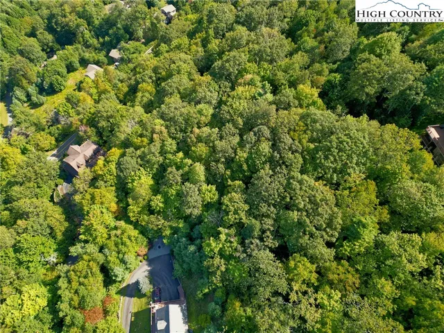 a view of a house with a tree