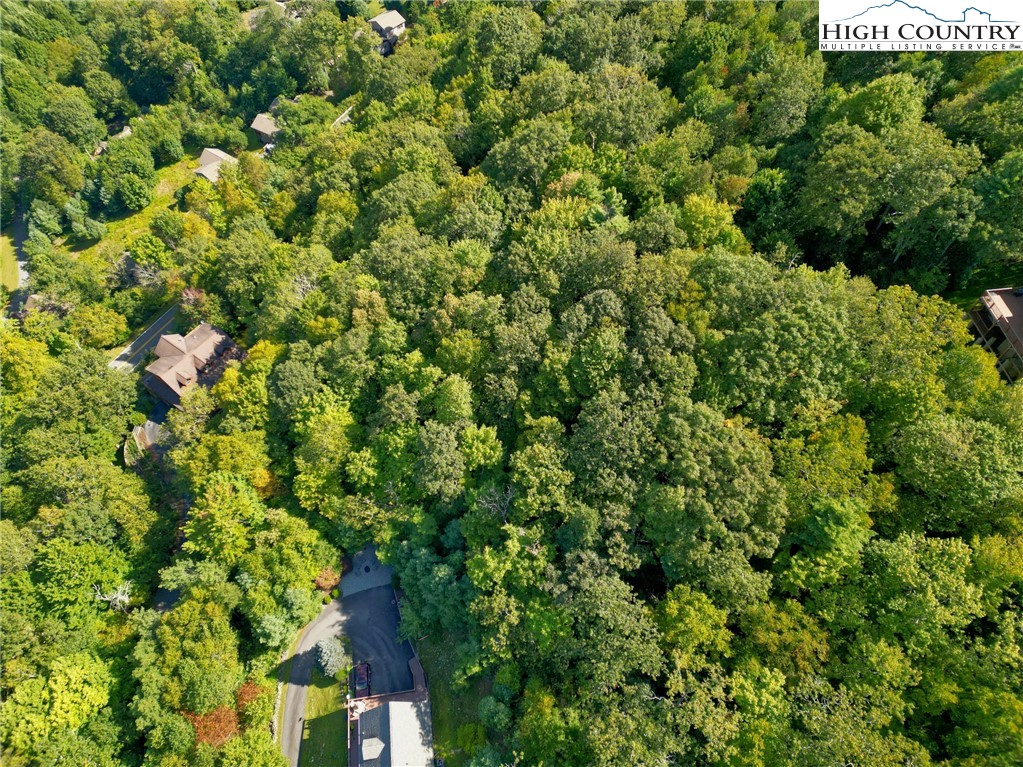 Highland Lakes Road Blowing Rock, NC 28605 - Photo 7 of 14