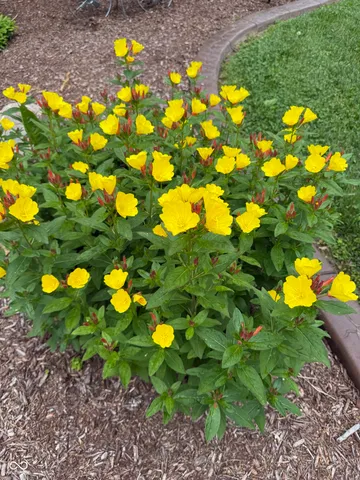 $315,900 | 2005 East Poplarwood Court, Rockville, IN 47872