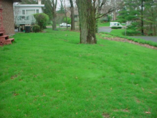 3134 West Chartwell Road Peoria, IL 61614 - Photo 4 of 9 Gallery Image 4