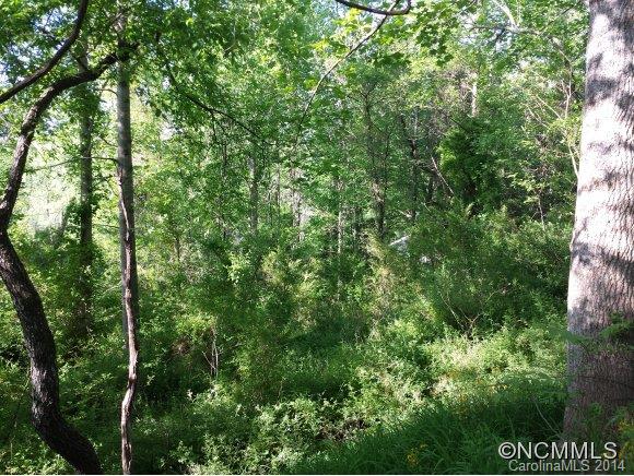 225 Burrell Mountain Road Brevard, NC 28712 - Photo 11 of 14 Gallery Image 11