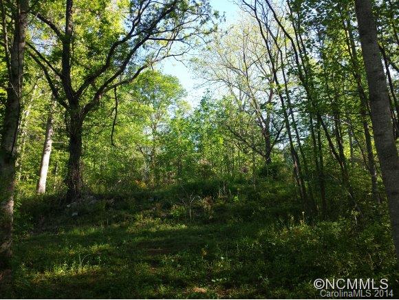 225 Burrell Mountain Road Brevard, NC 28712 - Photo 10 of 14 Gallery Image 10