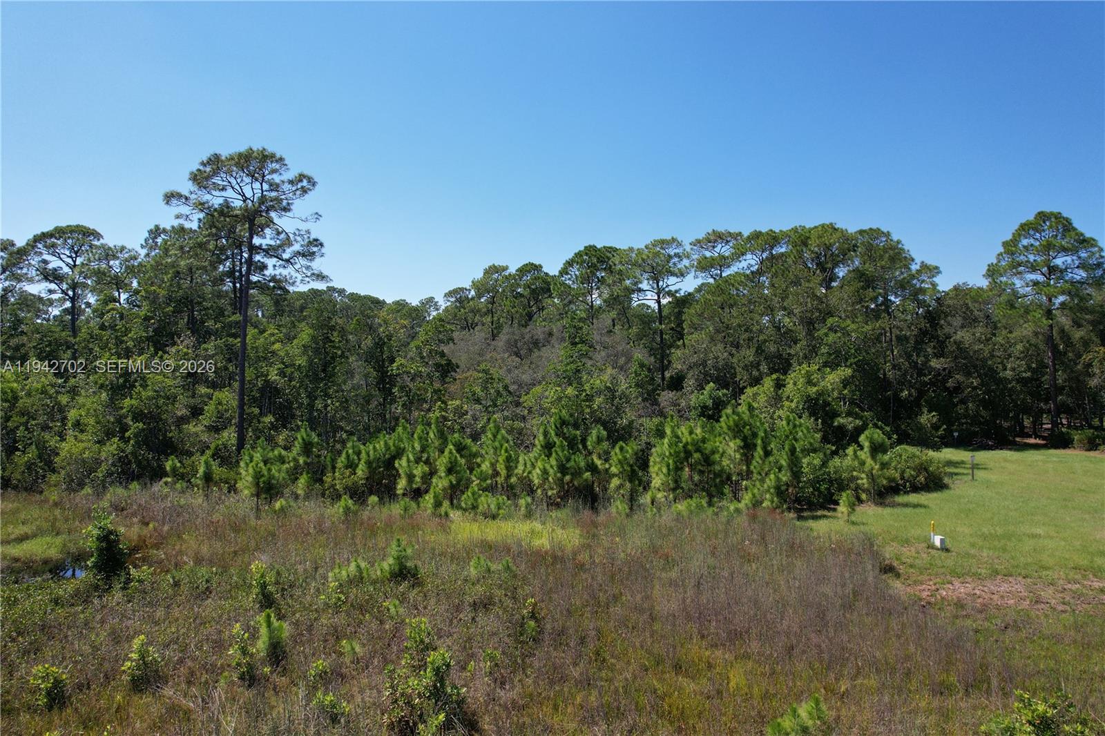 0 Jb Carter Road Davenport, FL 33844 - Photo 5 of 9 a view of a field of grass and trees