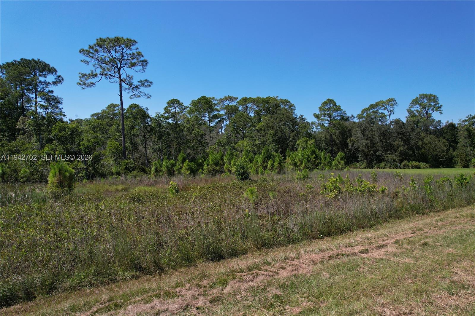 0 Jb Carter Road Davenport, FL 33844 - Photo 7 of 9 a view of a city with flower garden