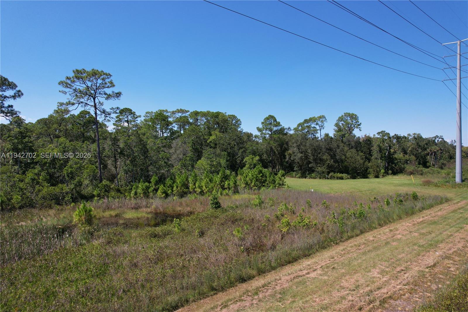 0 Jb Carter Road Davenport, FL 33844 - Photo 8 of 9 a view of a yard with a house