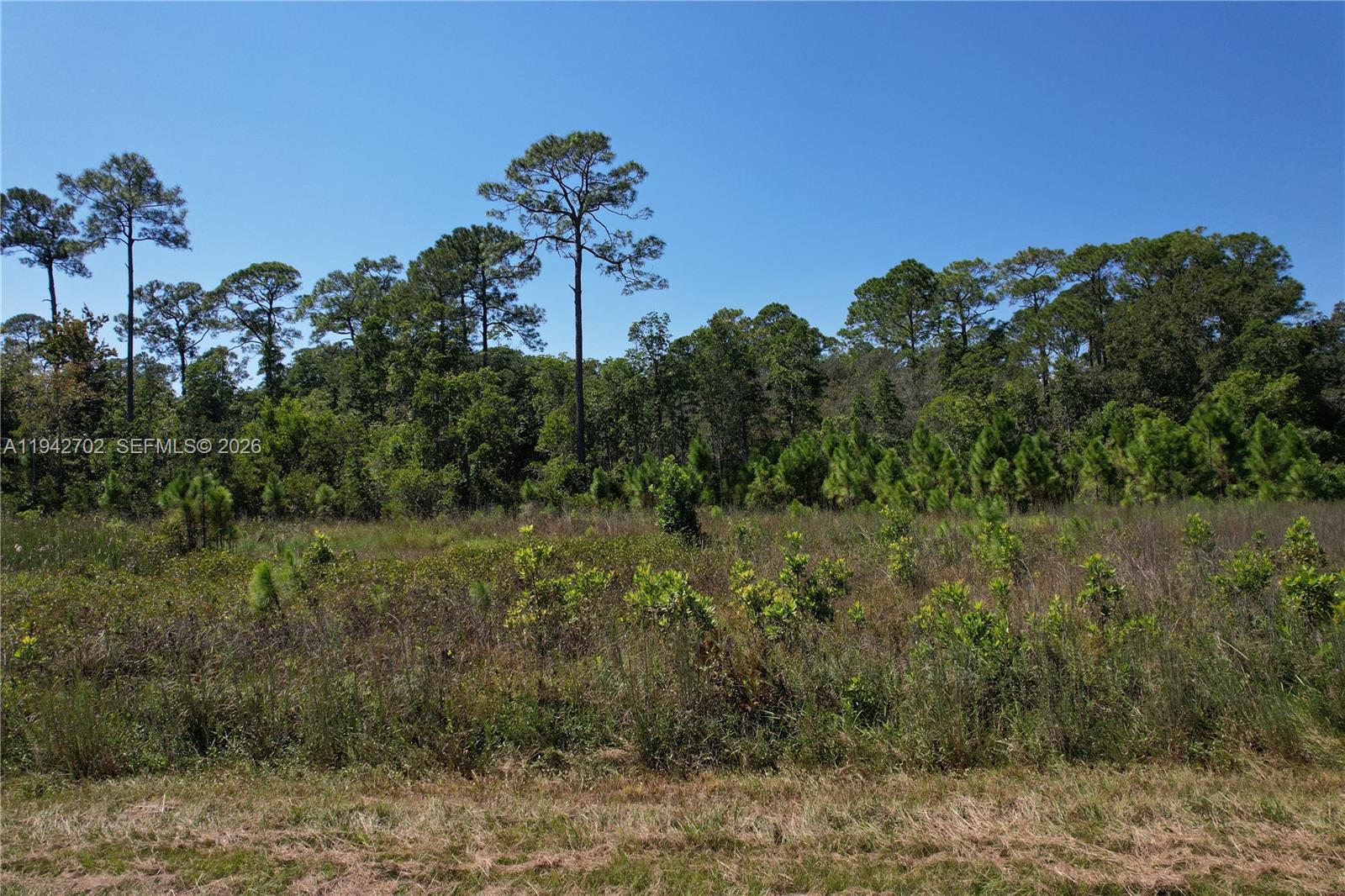 0 Jb Carter Road Davenport, FL 33844 - Photo 9 of 9 a view of a house