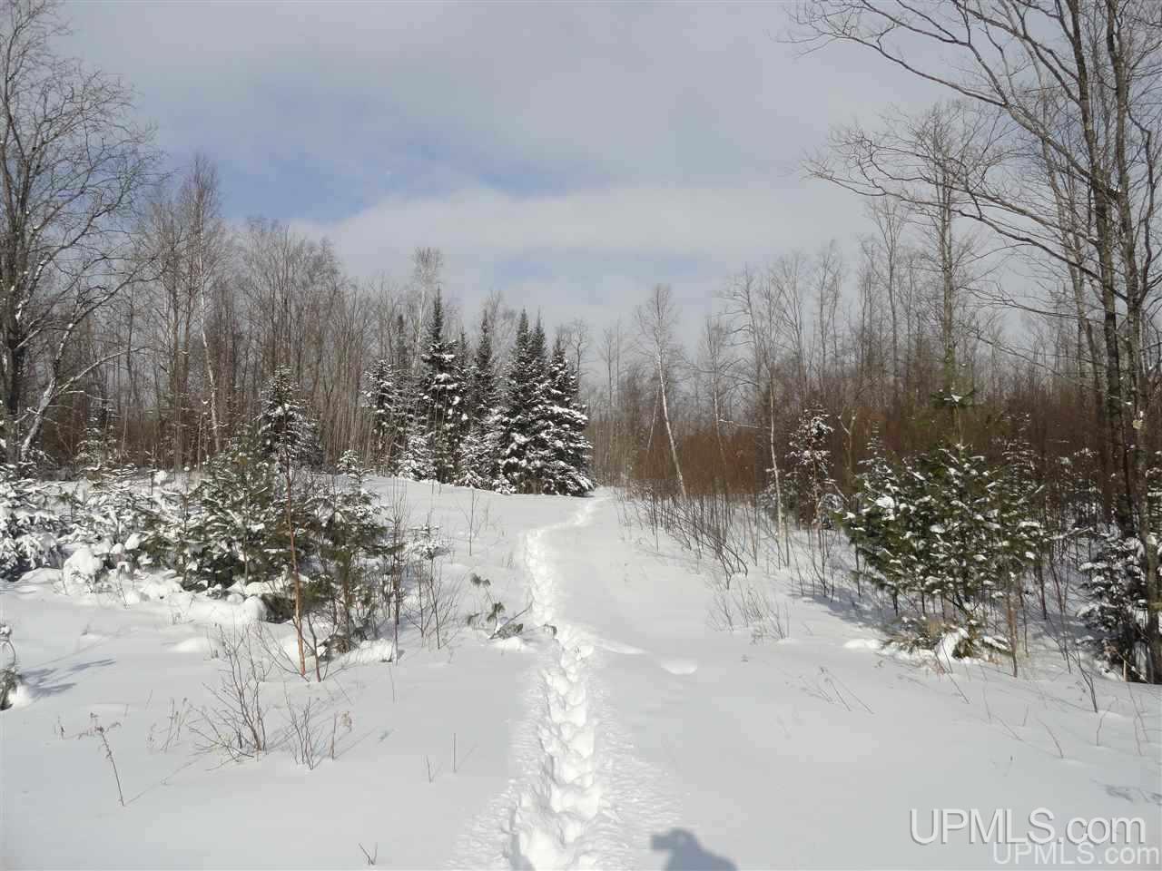 E4047 East Cold Springs Road Chatham, MI 49816 - Photo 25 of 33