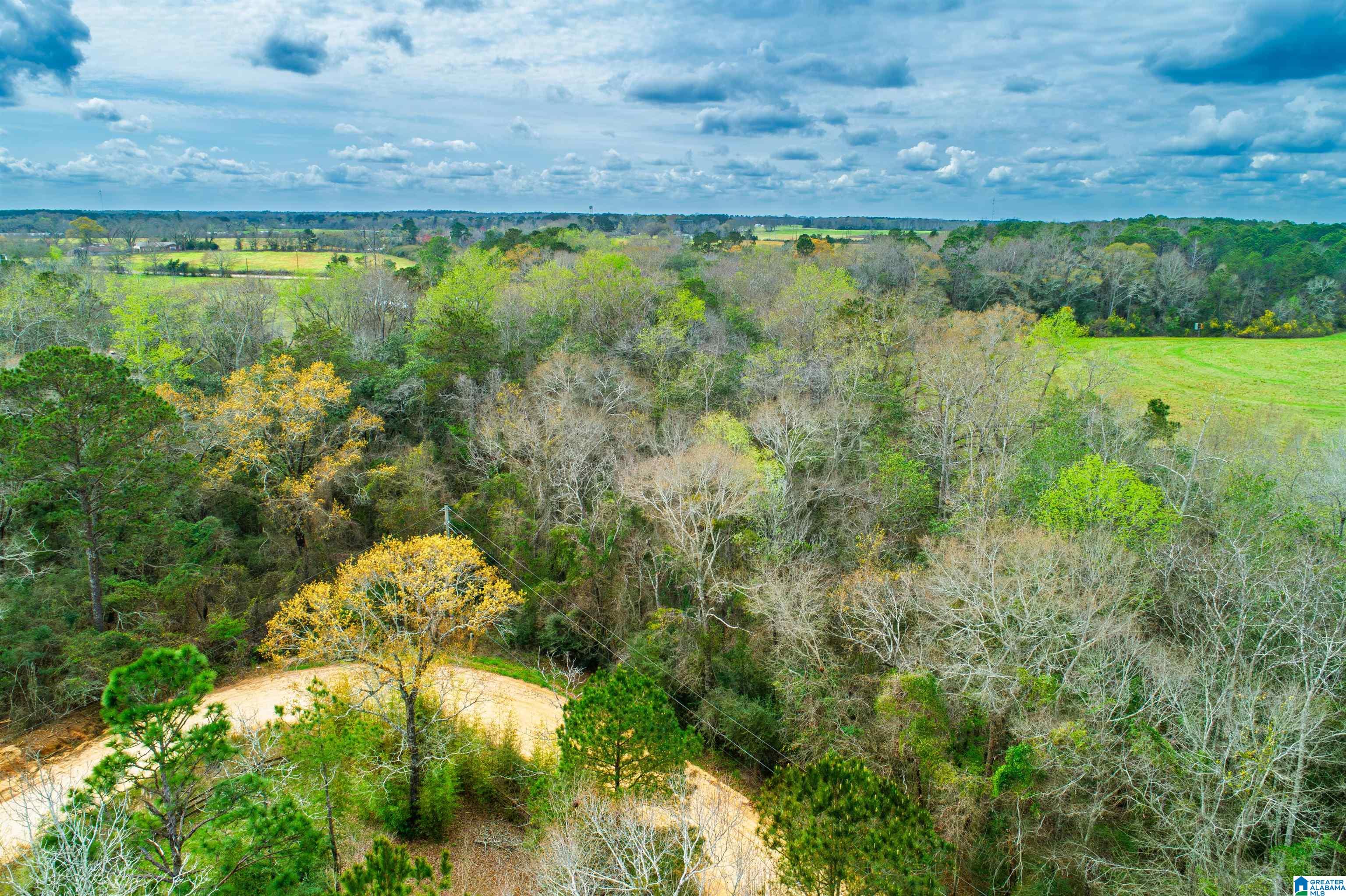 27180 Deer Run Road Opp, AL 36467 - Photo 23 of 60