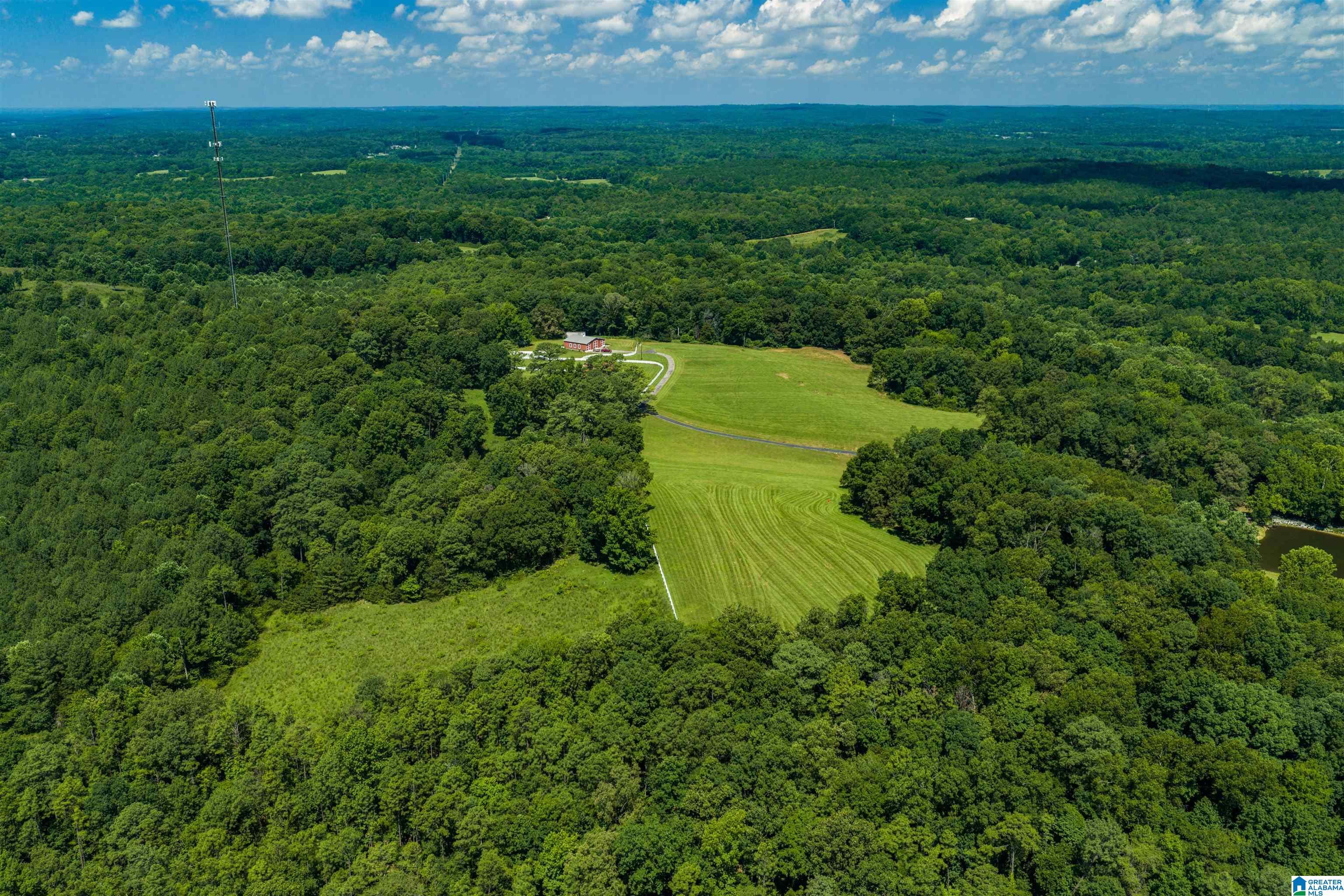 3640 Spring Creek Road Calera, AL 35040 - Photo 20 of 83