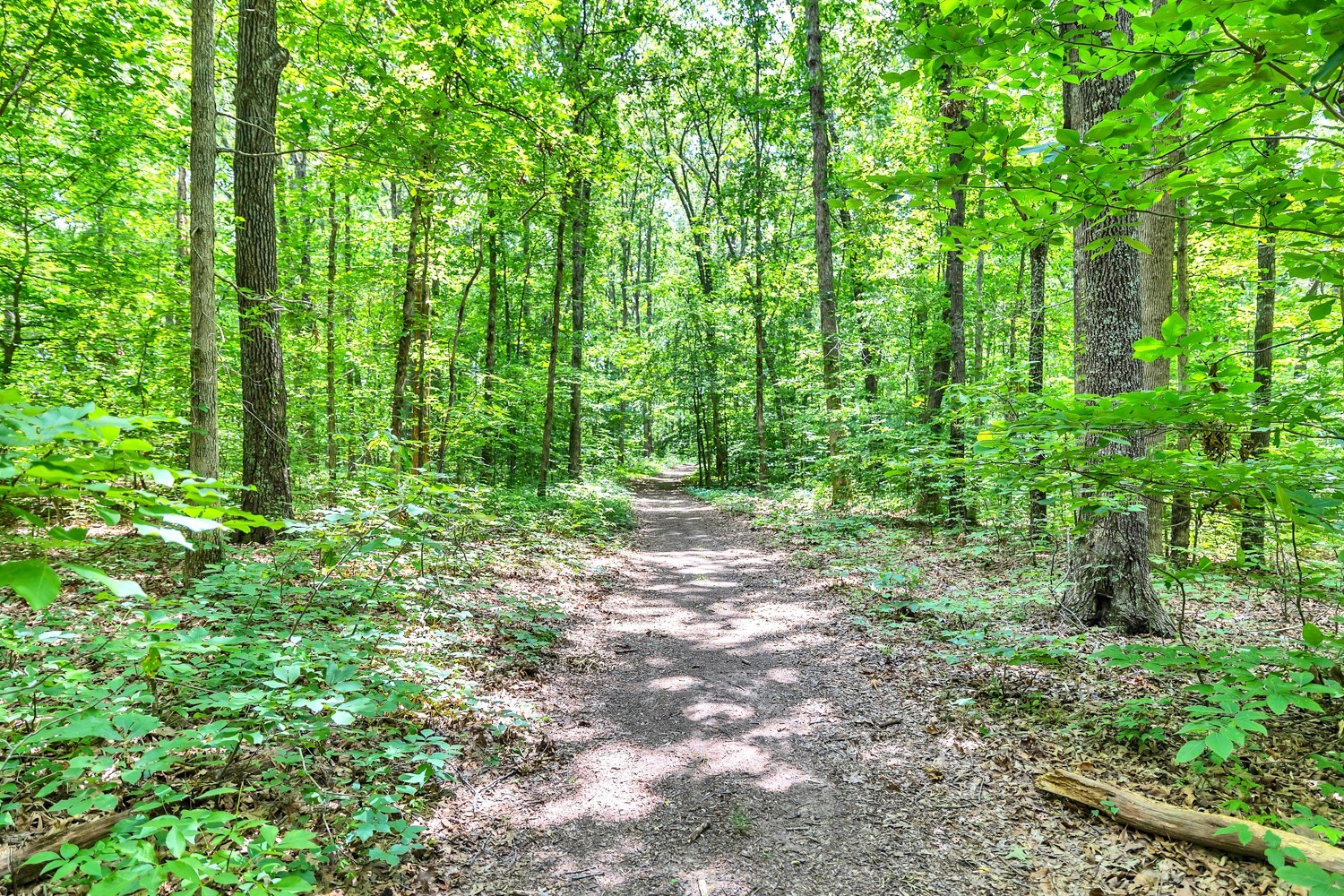 5185 Old Harding Road Fairview, TN 37062 - Photo 29 of 42
