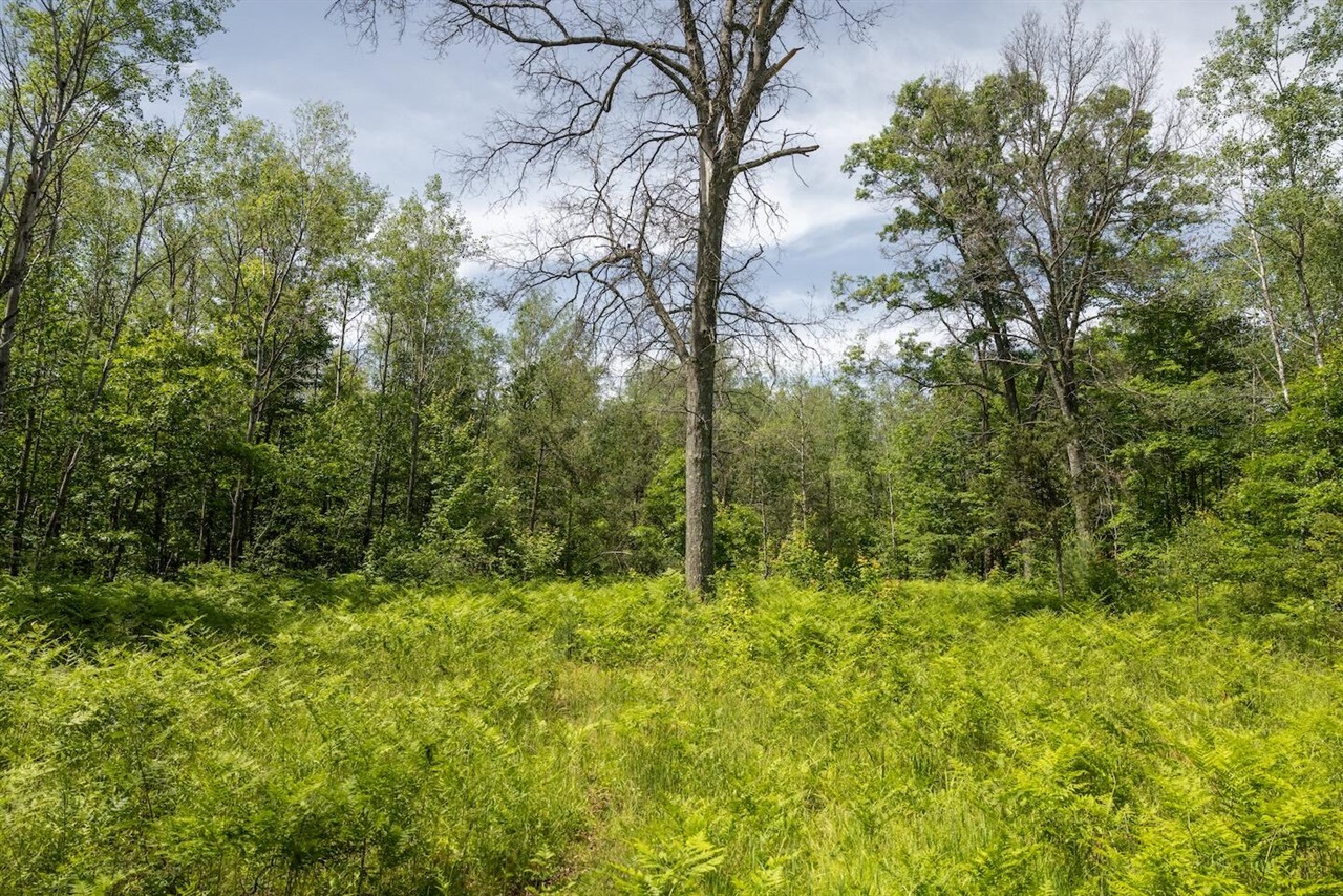 13 West 13 Mile Road, Unit PAR A Bitely, MI 49309 - Photo 5 of 15