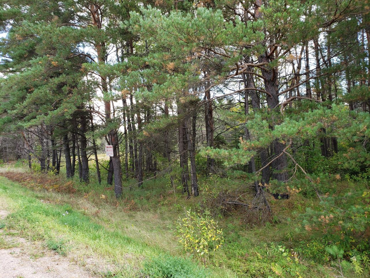 17 Rhinelander Wi 54501, Unit 10 ACRES Rhinelander, WI 54501 - Photo 11 of 12 Gallery Image 11