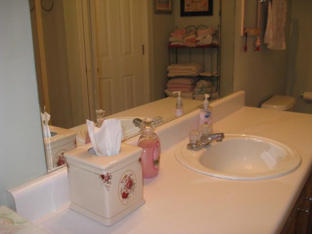 1129 Silverado Way Murfreesboro, TN 37130 - Photo 13 of 20 Master bath has spacious vanity.