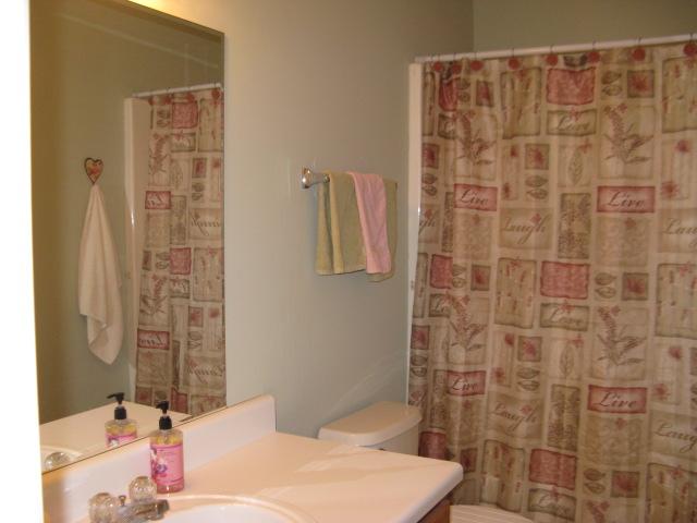 1129 Silverado Way Murfreesboro, TN 37130 - Photo 15 of 20 Attractive hall bath with new paint.