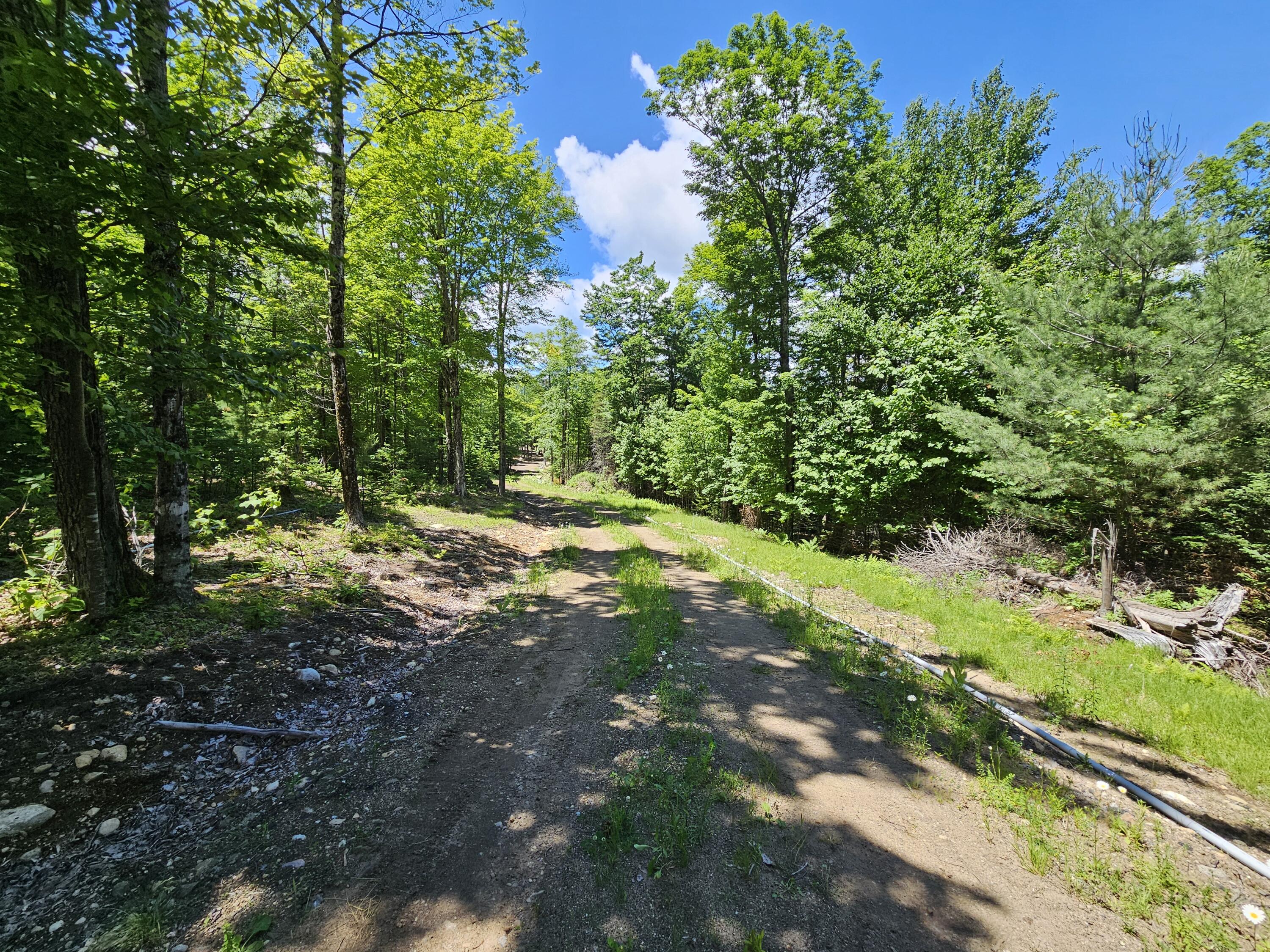 86 Maple Rdg Way Keene, NY 12942 - Photo 14 of 16