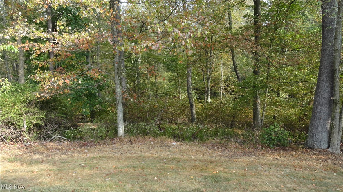 119 Allison Road Chester, WV 26034 - Photo 6 of 44 Woods to the north