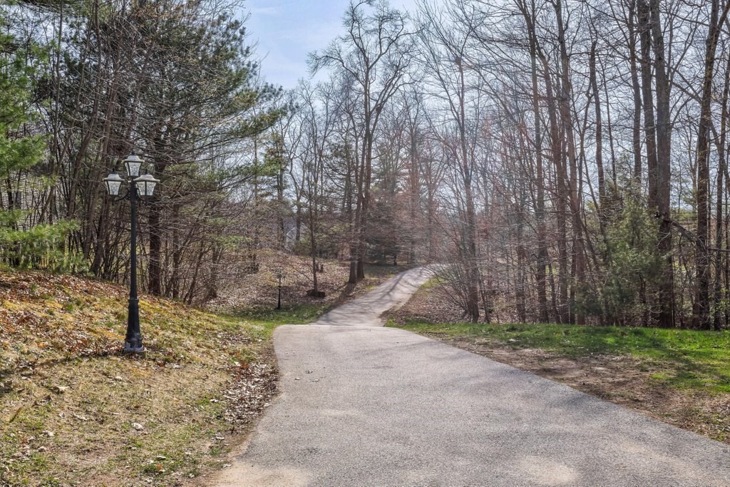 53 Baker Pond Road Charlton, MA 01507 - Photo 7 of 27 a view of a yard with a tree