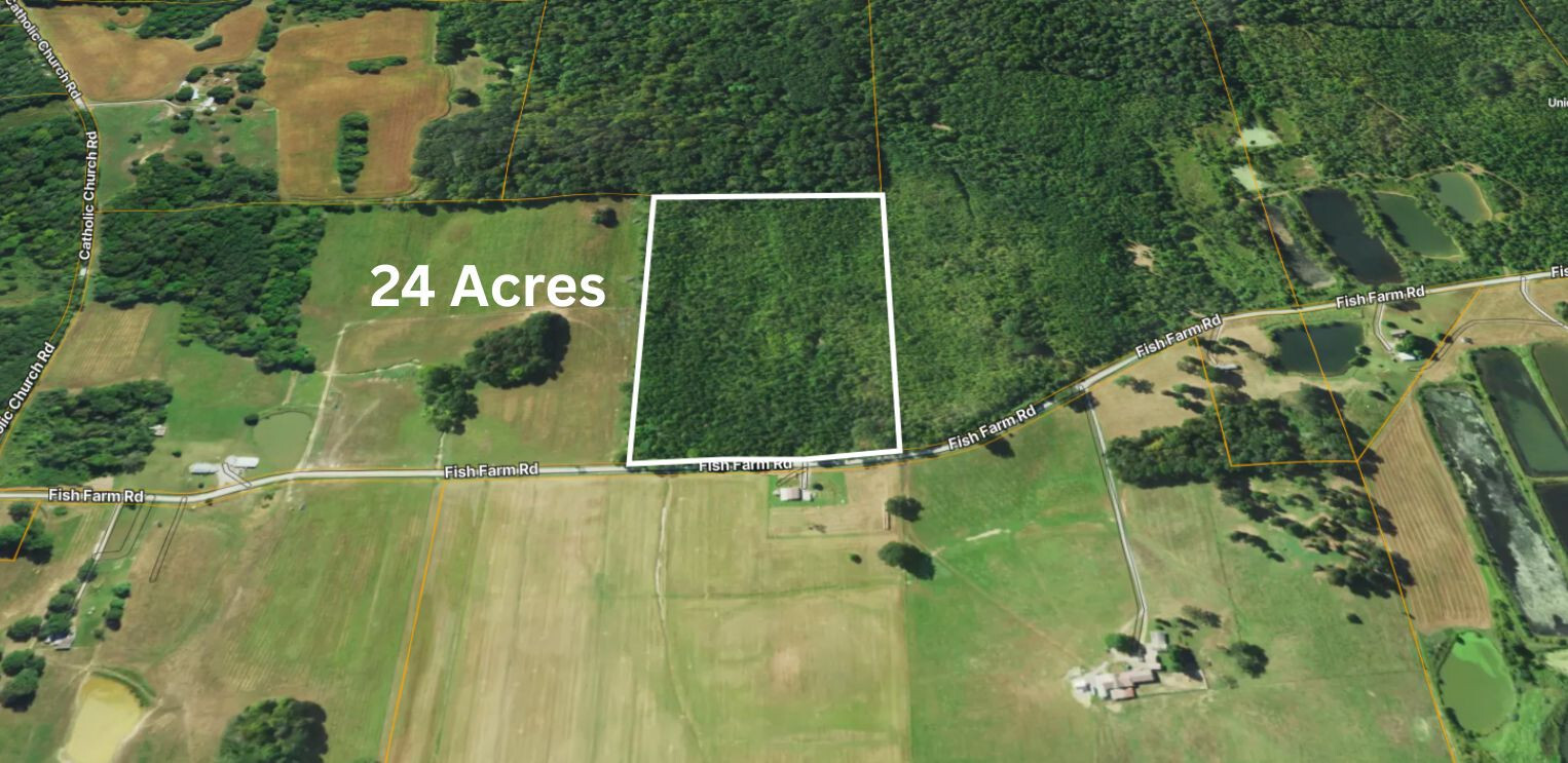 72 Fish Farm Road Golconda, IL 62938 - Photo 5 of 15