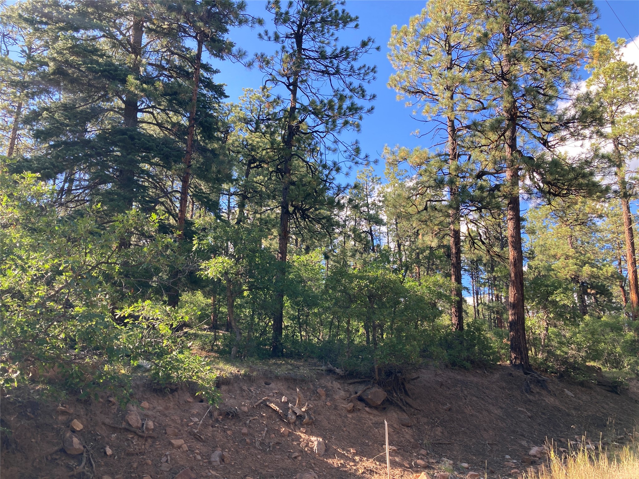 Tbd Serenity Road Chama, NM 87520 - Photo 16 of 20