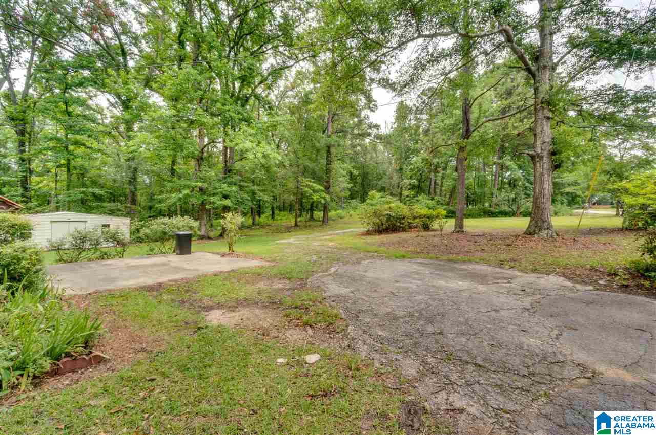 2995 County Road 77 Clanton, AL 35045 - Photo 38 of 50