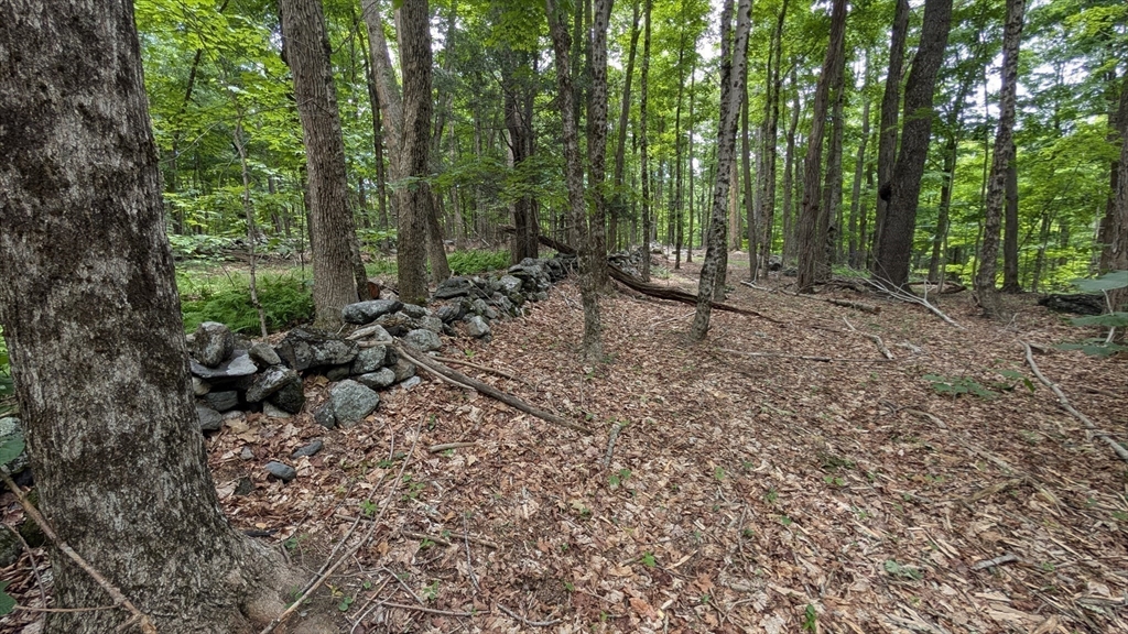 951 West Road Ashfield, MA 01330 - Photo 17 of 30 Gallery Image 17