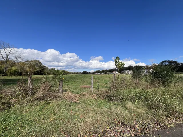 a view of a lake in middle of forest
